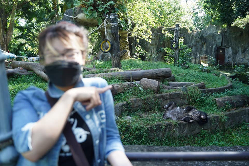 Mặc cho du khách đến tham quan nhưng chúng vẫn ngủ ngon lành.