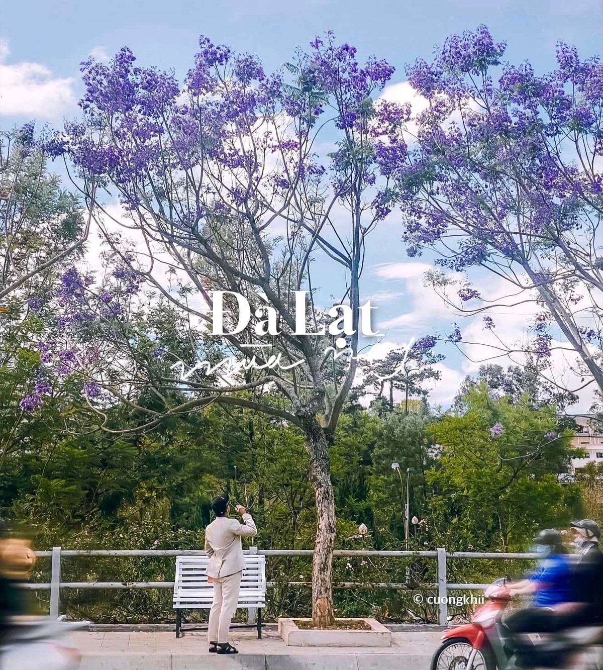 Có thể thấy Đà Lạt lúc nào cũng khiến khách du lịch mê đắm bởi các loài hoa với vẻ đẹp vô cùng đặc sắc. Ảnh: Cường Quốc Phạm