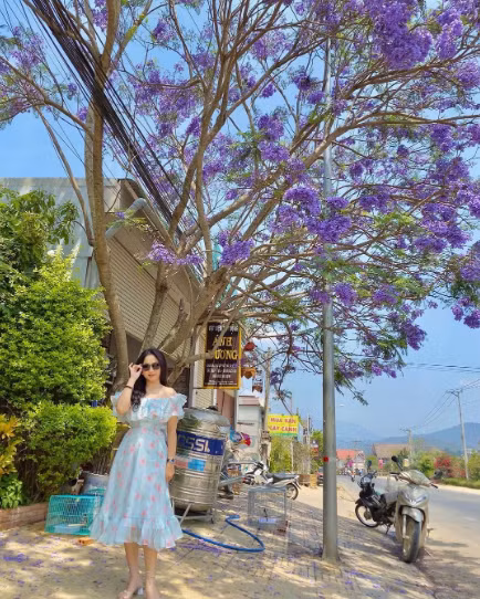 Với vẻ đẹp khó thay thế của nó, nhiều bạn trẻ đã lên lịch check in hoa phượng tím Đà Lạt. Theo nhận xét, du khách đặt chân đến đây như lạc vào một con phố nào đó ở nước ngoài. Ảnh: @__binnie__e