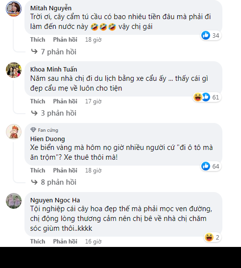 Nhiều người cho rằng người yêu hoa phải có tâm hồn đẹp, thanh cao nhưng trộm hoa để chơi thì ý thức quá kém...