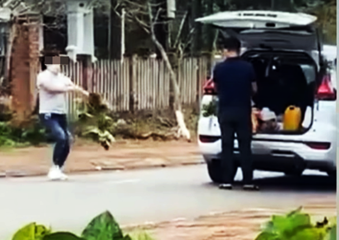 Mới đây, trên mạng xã hội xuất hiện video ghi lại hình ảnh một nữ du khách nhổ cây hoa cẩm tú cầu bên đường ở Măng Đen khiến nhiều người bức xúc.