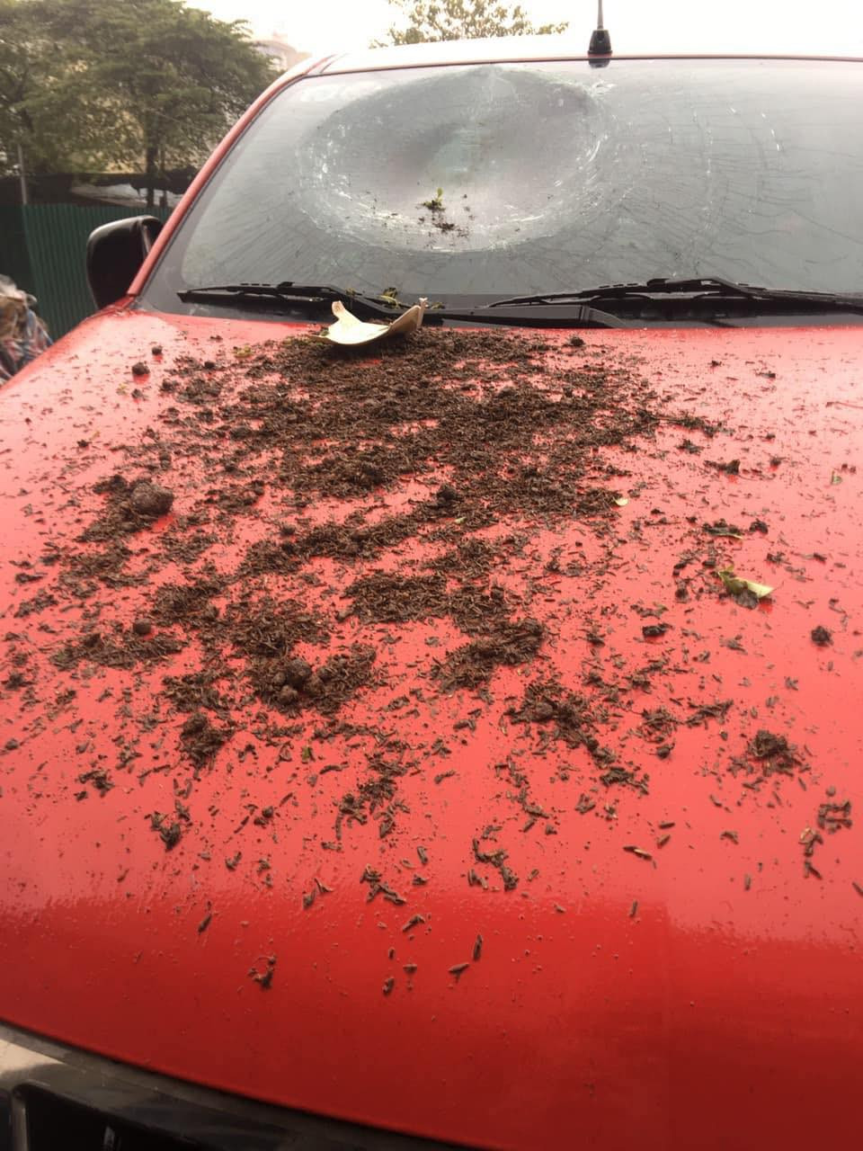 Theo người đăng tải cho biết, một chiếc ô tô màu đỏ sau khi đỗ xe dưới chung cư ngay lập tức nhận về cái kết nứt vỡ kính. Ảnh: Manh Hoàng OFFB