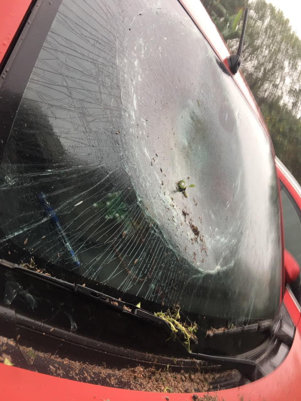 Có lẽ vì muốn chọn nơi mát mẻ để đậu xe, tài xế này đã đậu xe dưới sân chung cư rồi đi công việc. Nào ngờ khi quay lại, người này chỉ biết ngậm ngùi nhìn kính xe vỡ nát vì... một chậu cây cảnh. Ảnh: Manh Hoàng OFFB