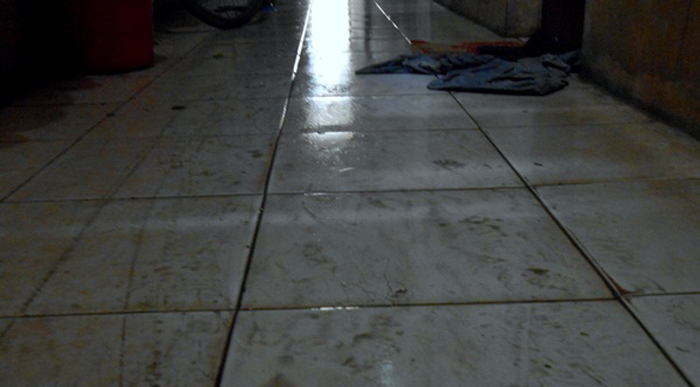 Những hình ảnh kinh hoàng về nồm ẩm khiến ai cũng ngao ngán