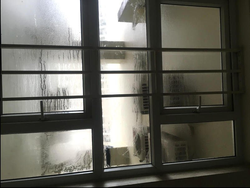 Dưới phần bình luận cư dân mạng chuyền tay bí kíp chống nồm ẩm trong nhà, cùng nhau vượt qua thời tiết khó chịu này.