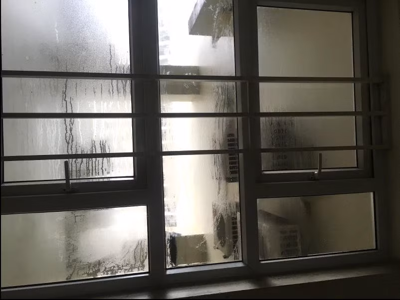 Dưới phần bình luận cư dân mạng chuyền tay bí kíp chống nồm ẩm trong nhà, cùng nhau vượt qua thời tiết khó chịu này.