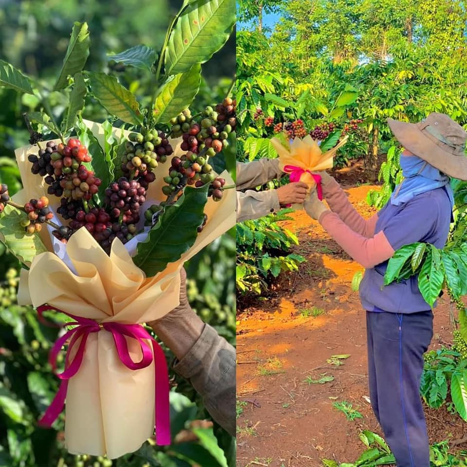 Thay vì những bó hoa tươi thông thường, các cô gái lại chọn những bó hoa đồ ăn không những đẹp mắt, độc đáo mà còn thiết thực vô cùng.