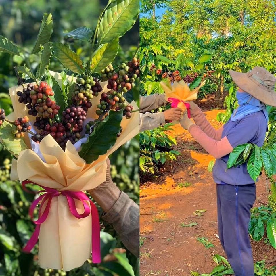 Thay vì những bó hoa tươi thông thường, các cô gái lại chọn những bó hoa đồ ăn không những đẹp mắt, độc đáo mà còn thiết thực vô cùng.