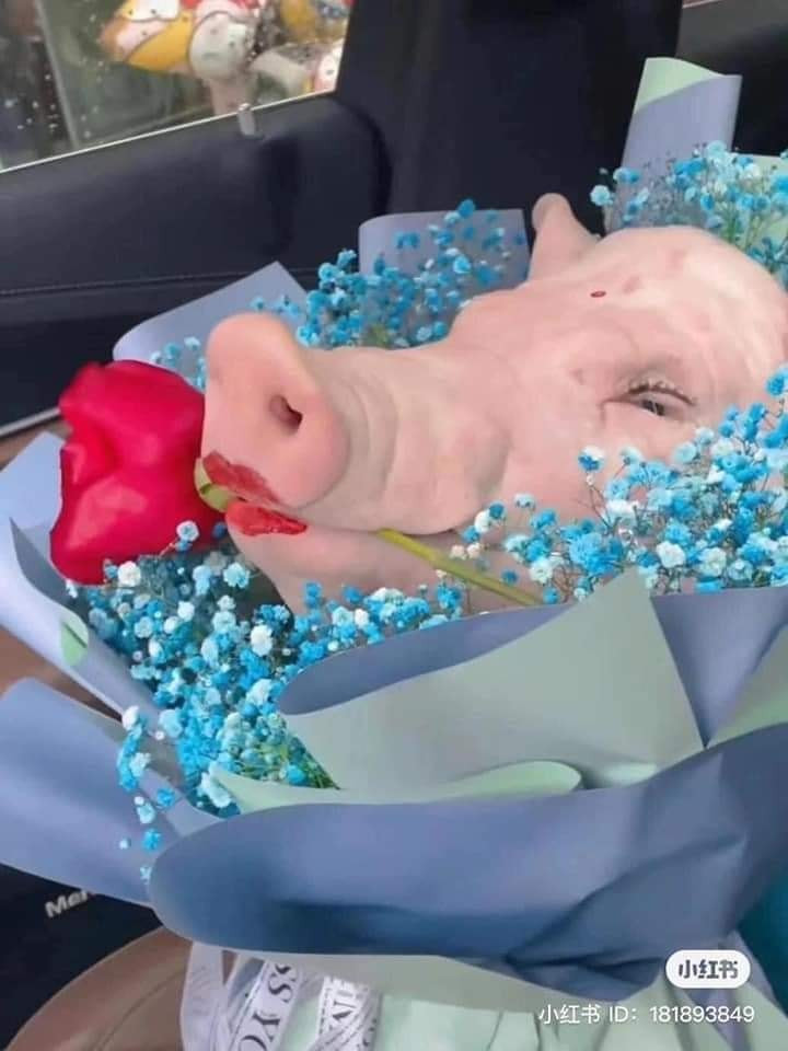 Bó hoa đầu heo này là món quà hài hước của chàng trai nào đó khiến cư dân mạng "ngã ngửa".