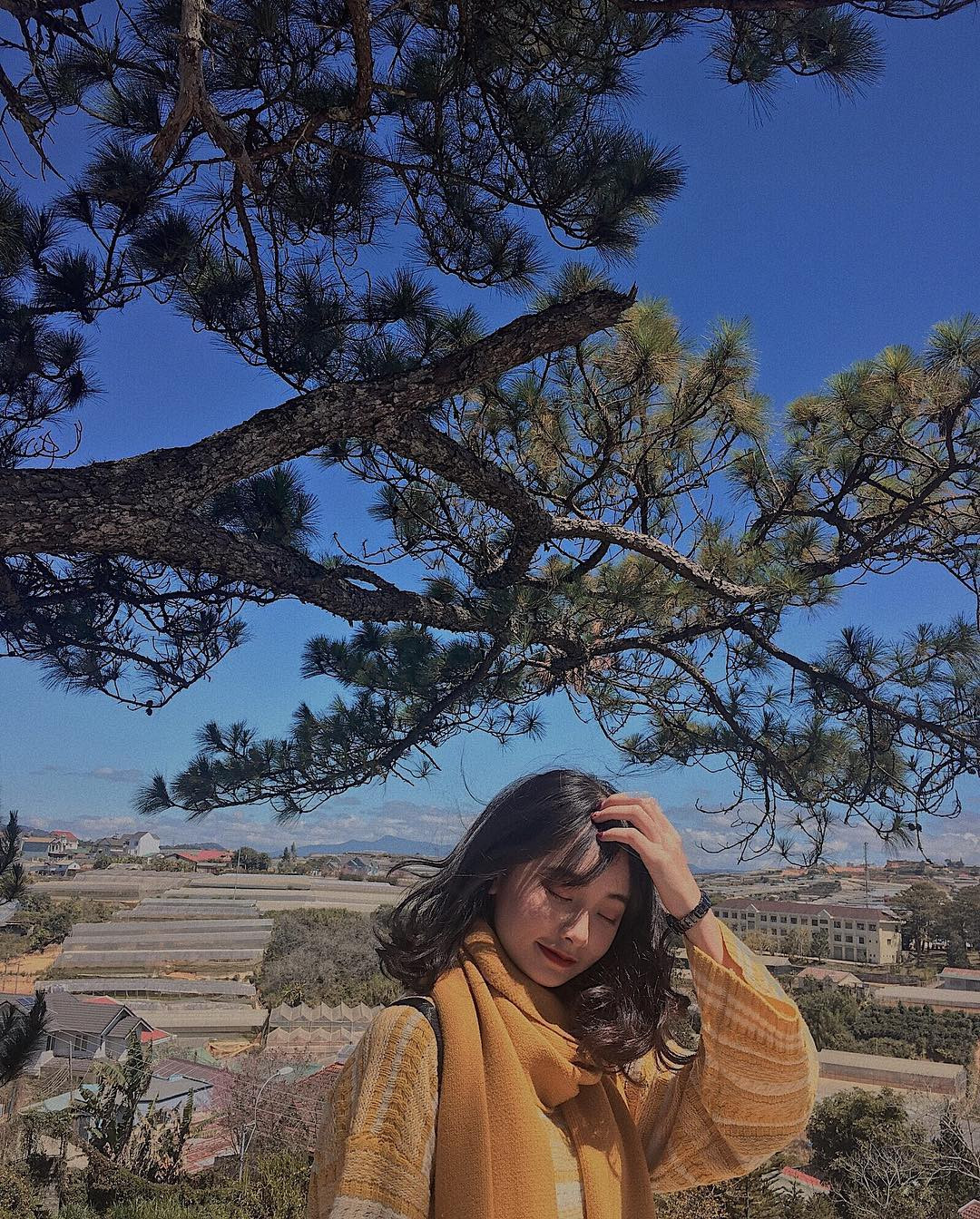 Đèo Prenn là một trong những con đèo đẹp và ấn tượng nhất ở Đà Lạt. Con đèo Đà Lạt này chỉ dài 10 km với những khúc cua ngoạn mục, hai bên là vực sâu và các rừng thông già hàng trăm năm tuổi.