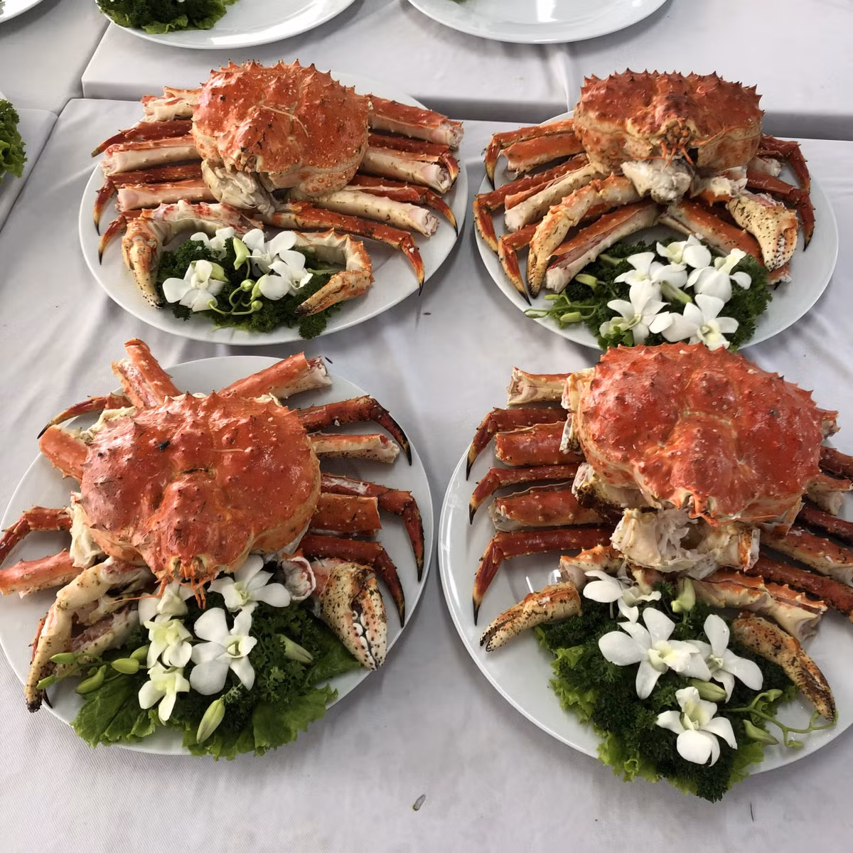 Bình quân mỗi con cua hoàng đế nặng 3kg, có giá hơn 2.000.000 đồng/kg. Bào ngư Hàn Quốc có giá 85.000 đồng/con.