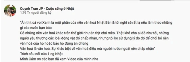 Phát ngôn của nữ Youtuber đã châm ngòi cho một cuộc tranh cãi không hồi kết. Hơn hết là nội dung mà Quỳnh Trần JP làm không phù hợp với thuần phong mỹ tục của người Việt. Ảnh: Tổng hợp