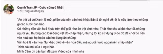 Phát ngôn của nữ Youtuber đã châm ngòi cho một cuộc tranh cãi không hồi kết. Hơn hết là nội dung mà Quỳnh Trần JP làm không phù hợp với thuần phong mỹ tục của người Việt. Ảnh: Tổng hợp