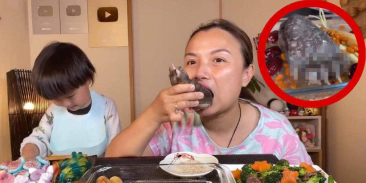 Quỳnh Trần giải thích thêm: "Ở Nhật người ta nhập và bán như thế này thì mình có thể ăn được nha mọi người, bởi vì mình mua mà, mình không có săn bắt gì cho nên là không có phạm luật gì nha".