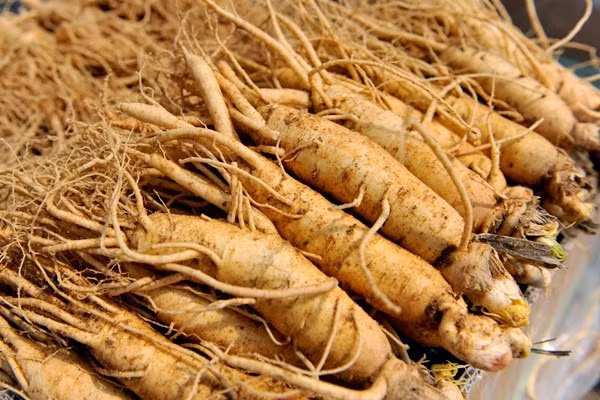 Tiet lo “than duoc” lam dep cua cung tan, my nu xua-Hinh-2