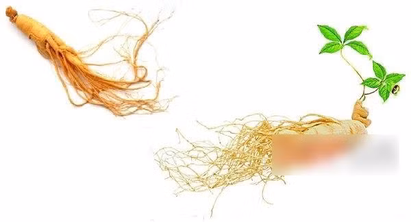 Tiet lo “than duoc” lam dep cua cung tan, my nu xua-Hinh-7