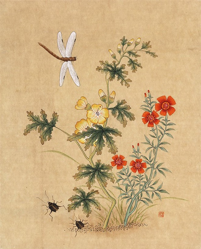 Cuoc doi cua nguoi phu nu duoc in hinh len to tien cua Han Quoc-Hinh-4