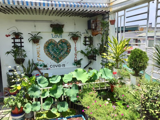 Cach thiet ke vuon rau san thuong mua dich vua don gian lai dep