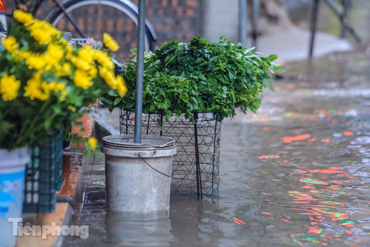 "Cơn mưa dải dẳng suốt từ sáng xuyên trưa, đến chiều trận mưa như trút nước khiến phố ngập nhanh chỉ sau vài phút, thậm chí nước còn tràn vào nhà mà chúng tôi bê đồ đi không kịp", một người dân sống tại phố Bùi Xương Trạch chia sẻ. 
