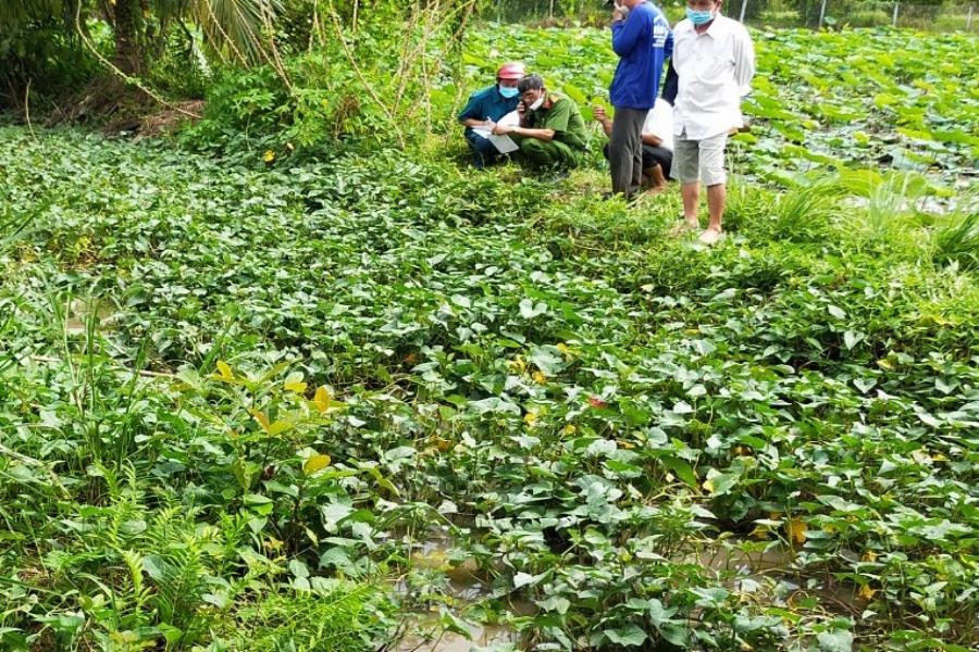  Người đàn ông tử vong dưới mương: Ngày 19/7, ông T.V.D (36 tuổi, Châu Phú, An Giang) mang bình điện đi dí cá ở tại Mương Chùa gần nhà. Khoảng 2 giờ đồng hồ sau, người dân phát hiện ông D. đã tử vong dưới mương. Ngày 20/7, CA huyện Châu Phú cho biết, kết quả khám nghiệm cho thấy ông D. tử vong do điện giật. 