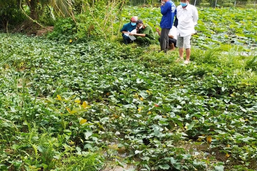  Người đàn ông tử vong dưới mương: Ngày 19/7, ông T.V.D (36 tuổi, Châu Phú, An Giang) mang bình điện đi dí cá ở tại Mương Chùa gần nhà. Khoảng 2 giờ đồng hồ sau, người dân phát hiện ông D. đã tử vong dưới mương. Ngày 20/7, CA huyện Châu Phú cho biết, kết quả khám nghiệm cho thấy ông D. tử vong do điện giật. 