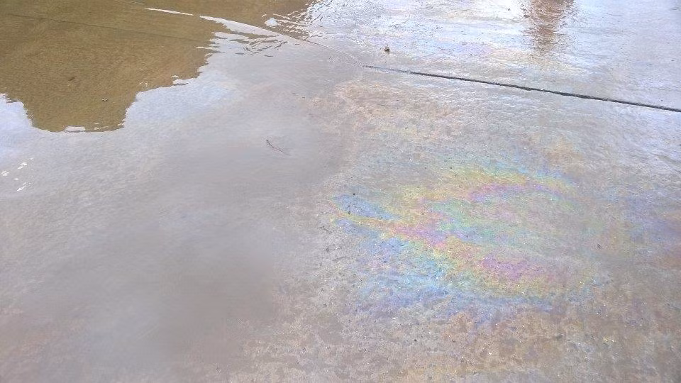 Váng xăng, dầu nổi kín mặt nước.