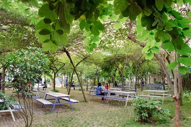 Ngay từ lối vào trường, hàng cây xanh và vườn cây sinh viên đã tạo điểm nhấn hút mắt cho toàn bộ khuôn viên. Do ngôi trường nằm ở khu vực ít cây xanh, nên nhà trường rất chú trọng đến việc mang thiên nhiên vào môi trường học tập, giúp đem lại cảm giác thoải mái.