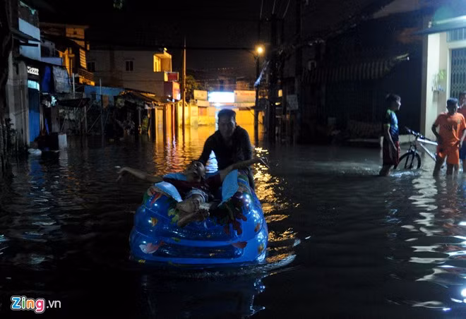 Tỏ ra sảng khoái khi được người khác đẩy lướt nhẹ trên đường phố trong đêm.