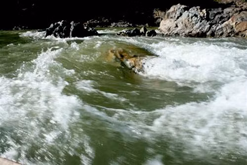 Không ít ngư dân đi săn cá trên sông Đà - vùng có cá chiên to, khỏe, phải đối diện với dòng nước dữ và những con "quái vật sông nước". Người dân vừa lặn xuống nước sâu, vừa có thể bị cá quẫy, kéo cho mệt lử, thậm chí bị thương khi gặp cá to khỏe.