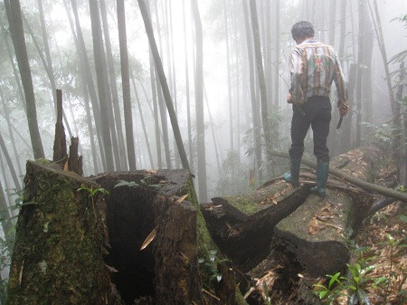 Vì mưu sinh, không ít người mạo hiểm lên rừng thiêng, nước độc, đi vào vùng nước đầm lầy để săn rắn độc, trăn khổng lồ.