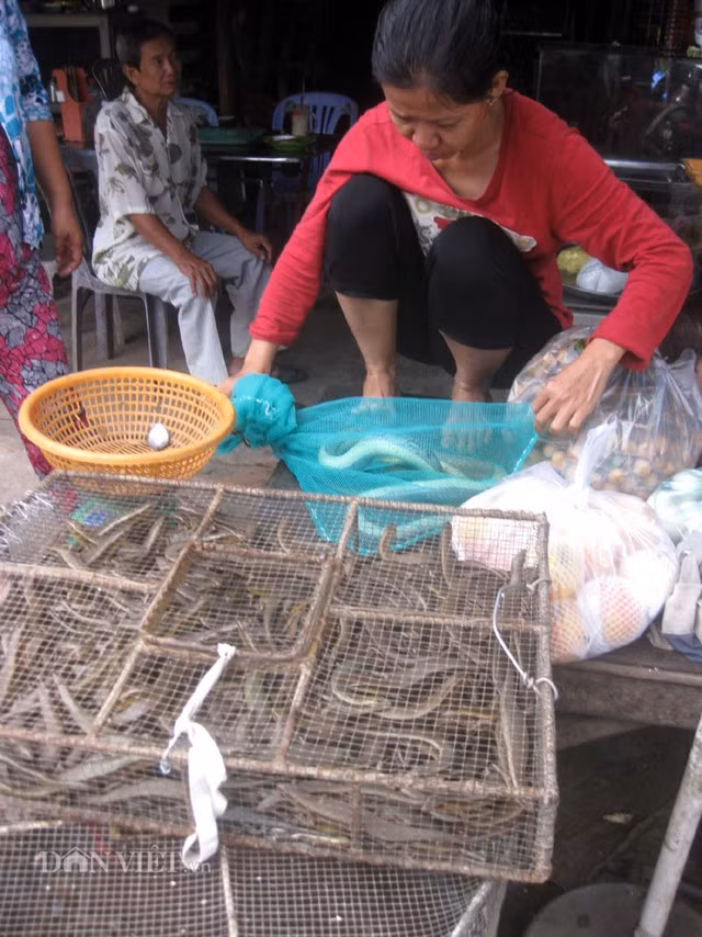 Người phụ nữ bán rắn tại chợ rắn Khánh An, huyện An Phú.