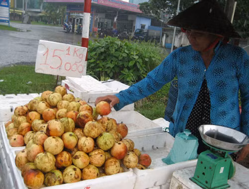 Trong khi đó, lựu Trung Quốc vận chuyển đường dài, cần chất bảo quản, thời gian giữ lựu tươi sẽ lâu. Đây là một trong những dấu hiệu bạn có thể cân nhắc khi mua loại quả này.