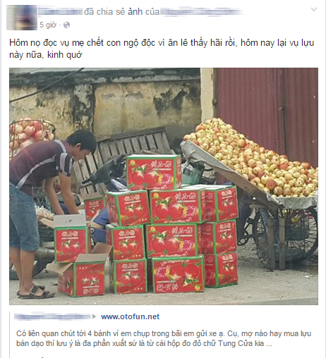 Hình ảnh những thùng lựu gắn nhãn mác Trung Quốc được một thành viên diễn đàn Otofun chia sẻ đã gây xôn xao cộng đồng mạng. Không ít người đã chia sẻ lại hình ảnh này với tâm trạng khá hoang mang, lo phân biệt lựu Trung Quốc và lựu Việt để mua đúng.