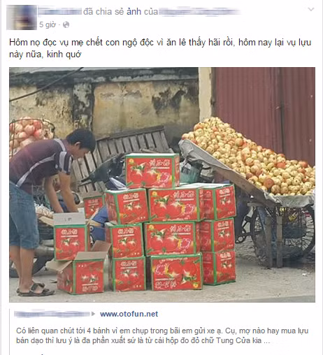 Hình ảnh những thùng lựu gắn nhãn mác Trung Quốc được một thành viên diễn đàn Otofun chia sẻ đã gây xôn xao cộng đồng mạng. Không ít người đã chia sẻ lại hình ảnh này với tâm trạng khá hoang mang, lo phân biệt lựu Trung Quốc và lựu Việt để mua đúng.