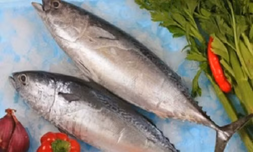 5 loại thực phẩm ăn nhiều hại não mà bạn nên biết 5 loai thuc pham an nhieu hai nao ma ban nen biet