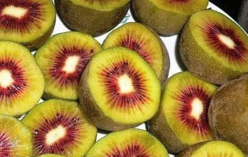 Thông thường, khách hàng phải đặt các cửa hàng hoa quả nhập khẩu loại kiwi đỏ. Mức giá thỏa thuận, tùy theo thời điểm nhập hàng.