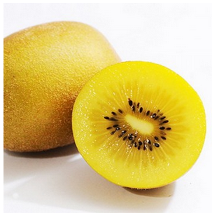 Giá Kiwi vàng dao động từ 230.000 - 280.000 đồng/kg, trong khi kiwi xanh dao động khoảng 118.000 đồng/kg.