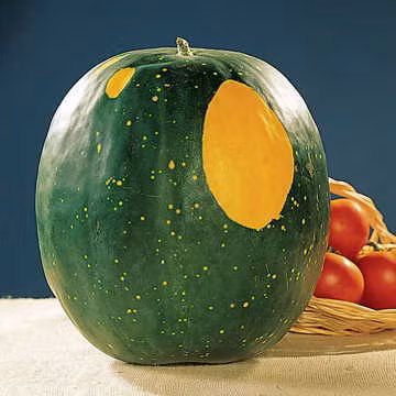 Dưa hấu trăng sao độc lạ khiến bà nội trợ phát “sốt“ - Hình 6 Dua hau trang sao doc la khien ba noi tro phat “sot“-Hinh-6