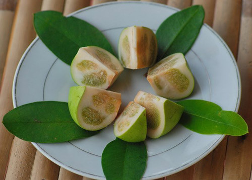 Các món ăn chế biến lạ miệng từ trái bần rất được ưa chuộng. Một lần ghé miền Tây, phải tìm thử món ăn chế biến từ trái bần.