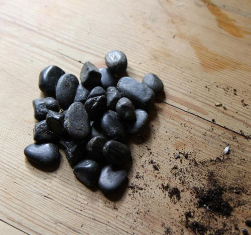 Chuẩn bị chậu trồng rau. Bạn nên lót một lớp sỏi dưới đáy chậu để giữ đất mà vẫn thoát nước tốt cho cây. Nhiều loại thảo mộc dễ úng, héo vàng khi bộ rễ quá ấm ướt.