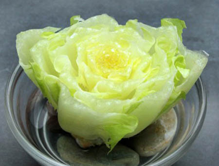 Rau diếp sau khi mua về, cắt phần lá trên để ăn và giữ lại phần gốc khoảng 5 - 6 cm. Tiếp theo, bạn lót một lớp sỏi mỏng dưới bát con, đặt gốc rau lên trên sỏi và đổ nước sạch ngập 1/2 gốc rau. Thay nước sạch hàng ngày, chẳng mấy chốc bạn sẽ có rau diếp sạch để ăn.