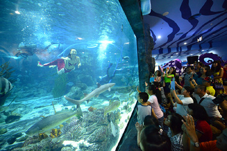 Vinhomes Times City (Minh Khai, Hà Nội) với thủy cung hiện đại lớn bậc nhất Việt Nam.