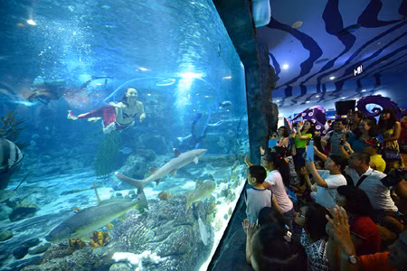 Vinhomes Times City (Minh Khai, Hà Nội) với thủy cung hiện đại lớn bậc nhất Việt Nam.