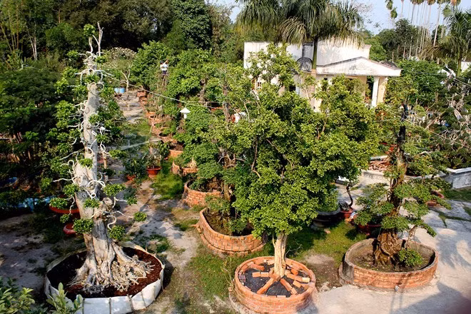 Dai gia Tay Ninh rao ban vuon kieng 