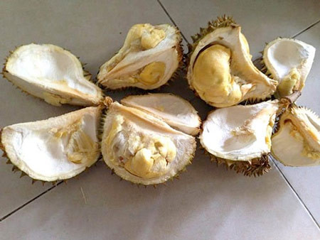 Khi ngâm nhúng hóa chất, sầu riêng xanh có thể "chín" được vỏ chứ rất khó "chín" được ruột.