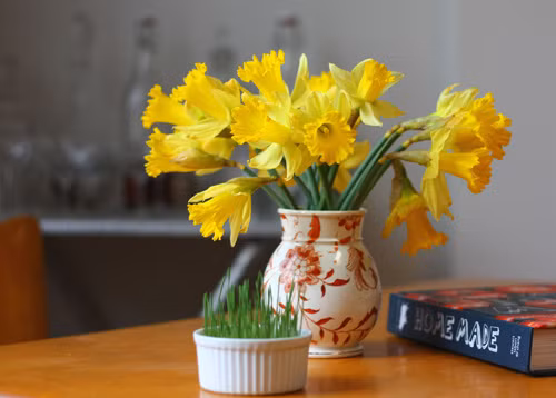 7 meo phong thuy hoa giai van xui don dap cho ban-Hinh-3