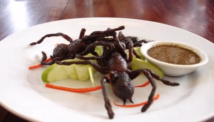 Không ít đại gia Việt sẵn sàng chi tiền để thưởng thức món ăn từ loại nhện này. Hầu hết nhện được đặt mua từ Campuchia hoặc Thái Lan.