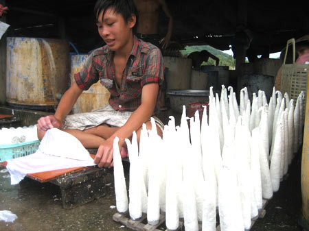 Hình ảnh người dân chế biến bong bóng cá, đặc sản "đẻ" ra tiền trong vài năm gần đây.