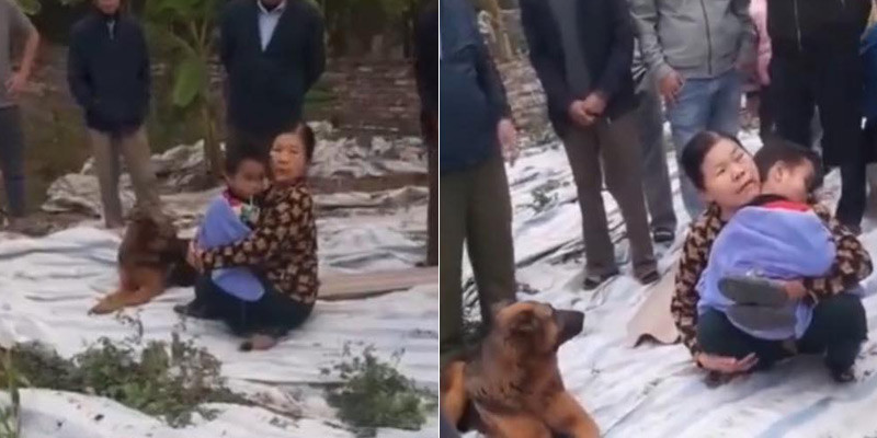 Cau chuyen cam dong ve chu cho bao ve be 6 tuoi di lac