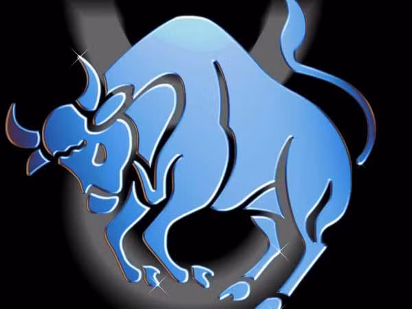 Kim Ngưu (20/4-20/5): Những người thuộc cung Kim Ngưu thường chăm chỉ và thích sự ổn định. Công việc của một kế toán, nhà giáo dục, kỹ sư, luật sư, nhà thiết kế, người làm vườn hoặc đầu bếp sẽ thích hợp với những người thuộc cung này. 